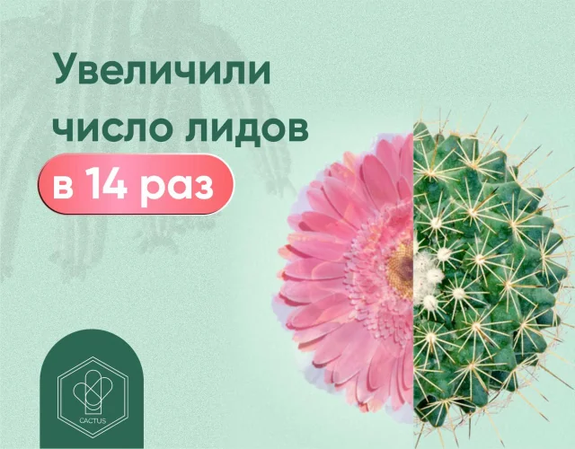 Контекст для проекта Cactus