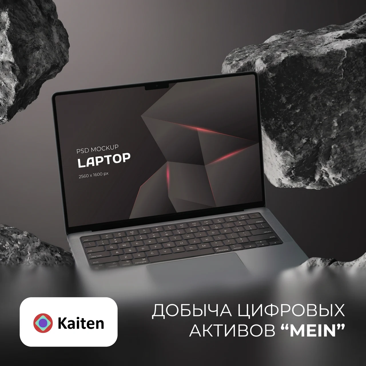 Цифровые активы «Mein»
