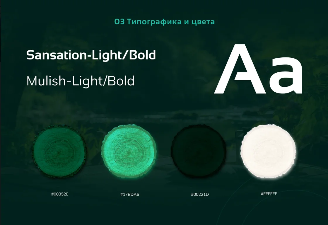 Дизайн сайта для производителя бань AXWOOD — фрагмент 7